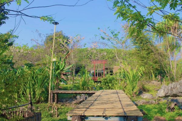 Pic-Century-March2021-11