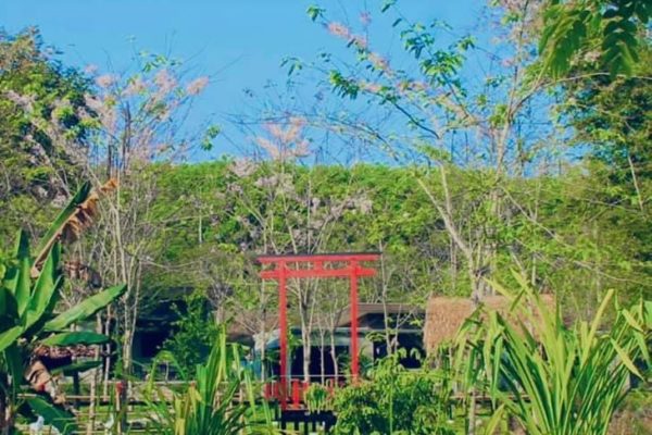 Pic-Century-March2021-7